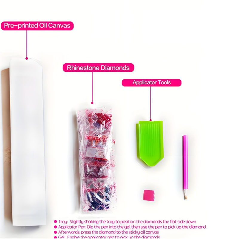 Set de Pintura de Diamantes Lo - Embroidery Lovers reseña y precio